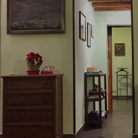 Your Basic But Bonnie Corner