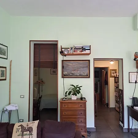 Your Basic But Bonnie Corner Проживание в семье *