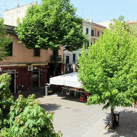 Your Basic But Bonnie Corner *