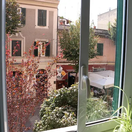 Проживание в семье Your Basic But Bonnie Corner