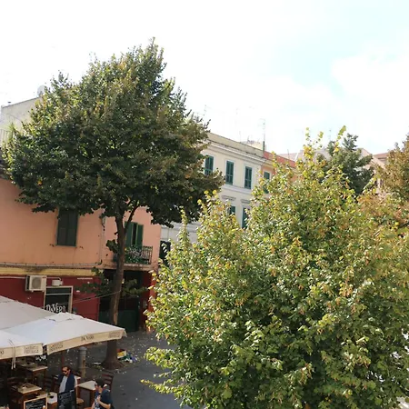 Проживание в семье Your Basic But Bonnie Corner