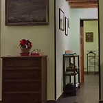 Your Basic But Bonnie Corner