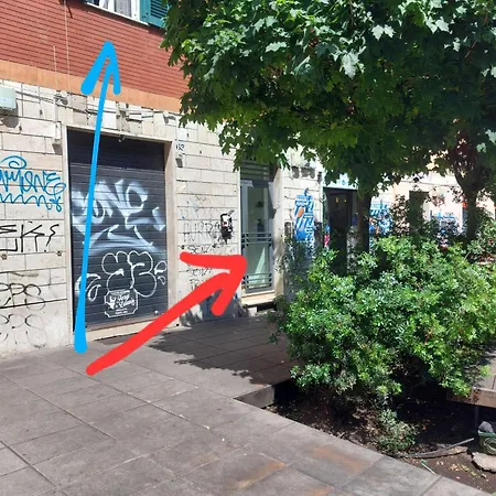 Your Basic But Bonnie Corner רומא